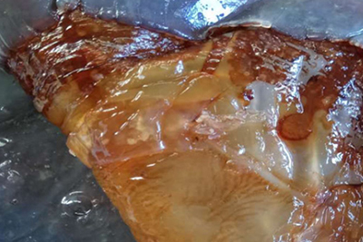 Efficacy, Function And Taboo Of Jellyfish